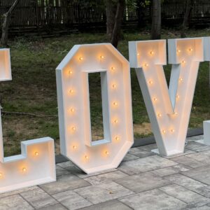 LOVE Marquee Letter Rental
